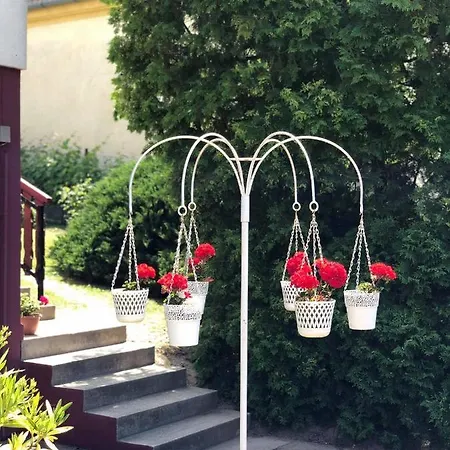 Major Csalad Apartament